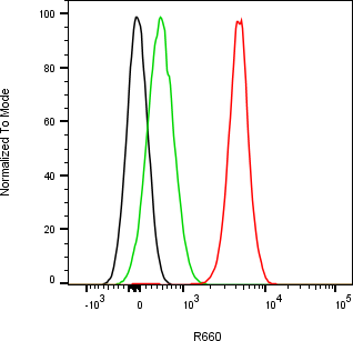 Rabbit-anti EPGN monoclonal antibody