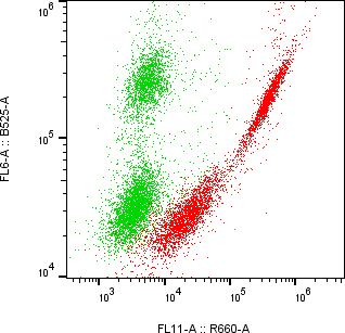 Rabbit-anti LTBR monoclonal antibody