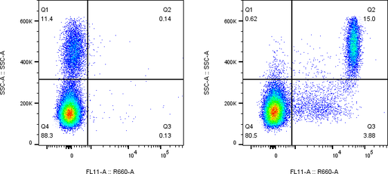Rabbit-anti LILRA5 monoclonal antibody