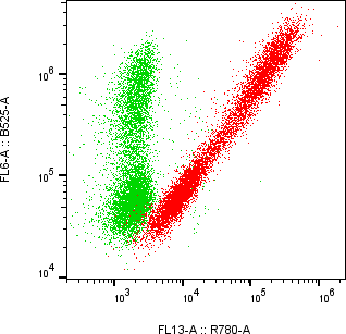 Rabbit-anti EFNA1 monoclonal antibody