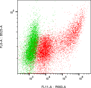 Rabbit-anti SPESP1 monoclonal antibody
