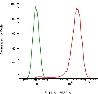 Rabbit-anti CD6 monoclonal antibody