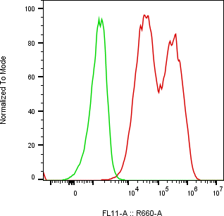 Rabbit-anti CCL23 monoclonal antibody