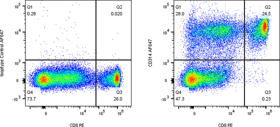 Rabbit-anti CD314/NKG2D monoclonal antibody