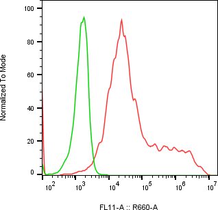 Rabbit-anti EPGN monoclonal antibody