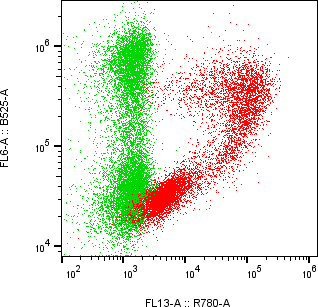 Rabbit-anti CA9 monoclonal antibody