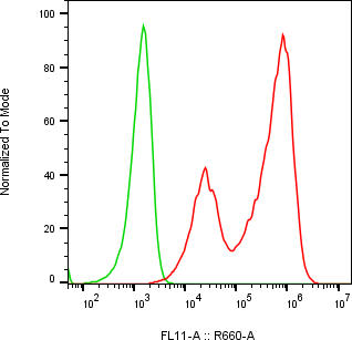 Rabbit-anti SPINK6 monoclonal antibody