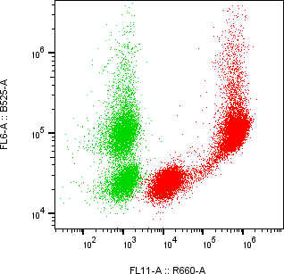 Rabbit-anti PROCR monoclonal antibody