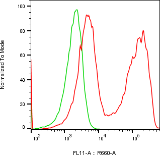 Rabbit-anti KERA monoclonal antibody