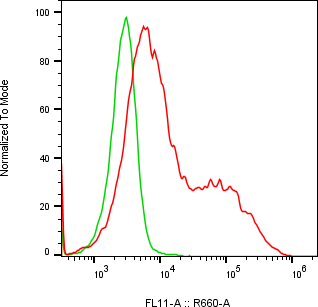 Rabbit-anti CCER2 monoclonal antibody