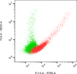 Rabbit-anti KIRREL1 monoclonal antibody