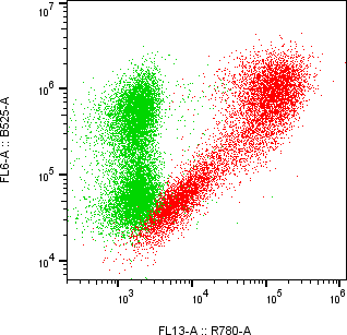 Rabbit-anti KIR2DL2 monoclonal antibody