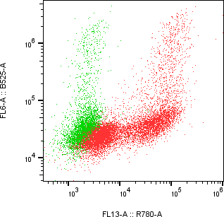 Rabbit-anti CD1D monoclonal antibody