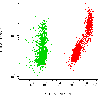 Rabbit-anti GPA33 monoclonal antibody