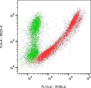 Rabbit-anti IL17-F monoclonal antibody