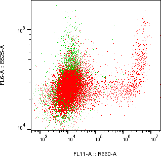Rabbit-anti CTRL monoclonal antibody