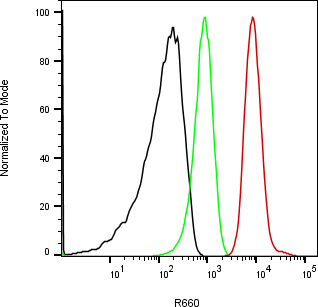 Rabbit-anti BPIFA2 monoclonal antibody
