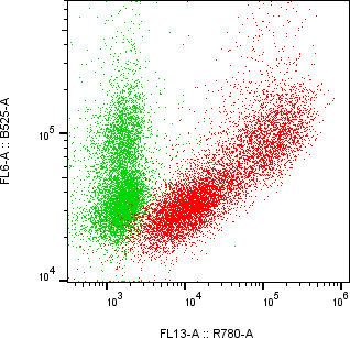 Rabbit-anti ROR2 monoclonal antibody