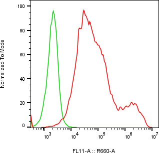 Rabbit-anti MXRA8 monoclonal antibody