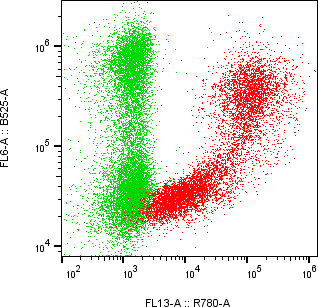 Rabbit-anti CA9 monoclonal antibody