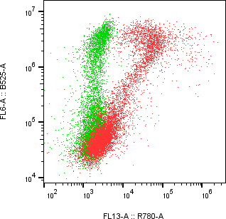Rabbit-anti CD164 monoclonal antibody