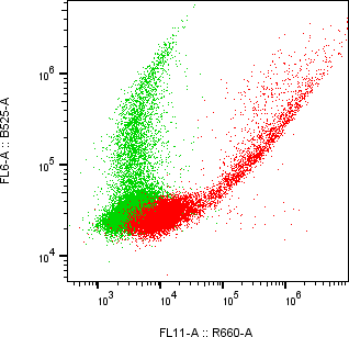 Rabbit-anti IL23R monoclonal antibody