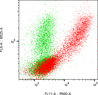 Rabbit-anti DEFA3 monoclonal antibody