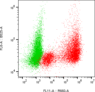 Rabbit-anti TREM1 monoclonal antibody