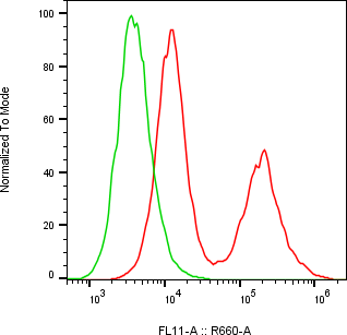 Rabbit-anti RAMP1 monoclonal antibody