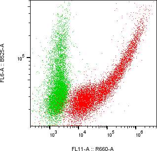 Rabbit-anti APOE monoclonal antibody