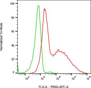 Rabbit-anti NCR2 monoclonal antibody