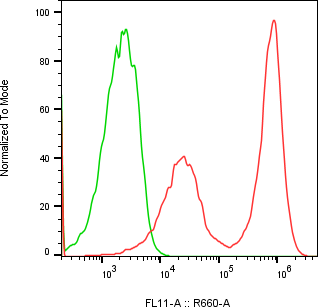 Rabbit-anti CBLN4 monoclonal antibody