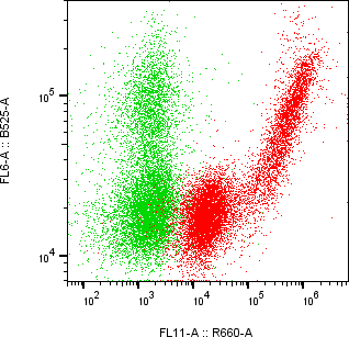 Rabbit-anti GIF monoclonal antibody