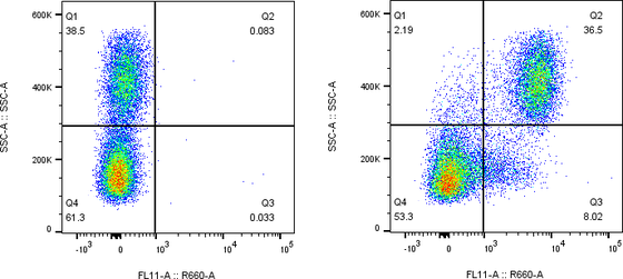 Rabbit-anti PD-1 monoclonal antibody