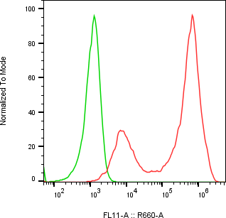 Rabbit-anti TREM1 monoclonal antibody