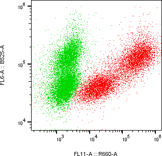 Rabbit-anti LTF monoclonal antibody