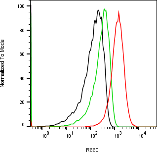 Rabbit-anti TFPI2 monoclonal antibody