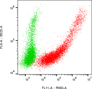 Rabbit-anti MXRA8 monoclonal antibody