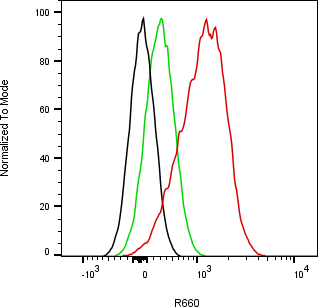 Rabbit-anti PDGFB monoclonal antibody