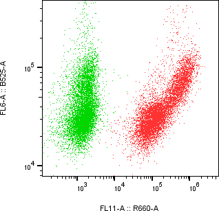 Rabbit-anti SMOC1 monoclonal antibody
