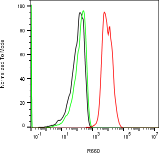Rabbit-anti MMP3 monoclonal antibody