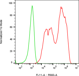 Rabbit-anti SPINK6 monoclonal antibody