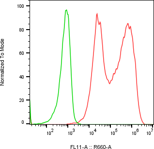 Rabbit-anti SPESP1 monoclonal antibody