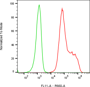 Rabbit-anti AGER monoclonal antibody