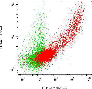 Rabbit-anti CEACAM7 monoclonal antibody
