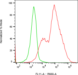 Rabbit-anti ENPP5 monoclonal antibody