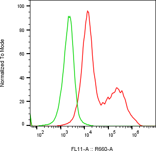 Rabbit-anti DEFB115 monoclonal antibody