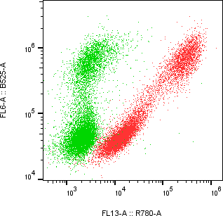 Rabbit-anti CGB7 monoclonal antibody