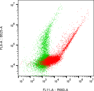 Rabbit-anti AMHR2 monoclonal antibody