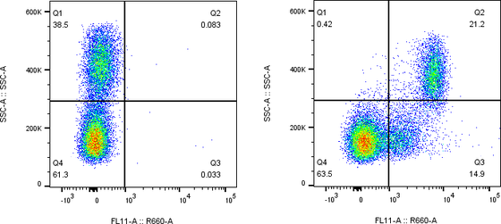 Rabbit-anti IL10RB monoclonal antibody
